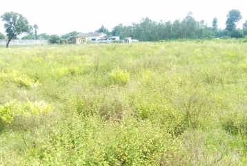 15 Bighas Land at Shankarpur, Mussoorie Bye Pass, Dehradun